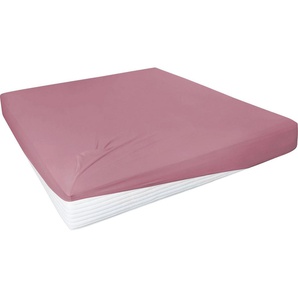 Primera Spannbettlaken Elasthan-Feinjersey, Jersey-Elasthan, Gummizug: rundum, (1 Stück), PREMIUM, aus 95% gekämmter Baumwolle und 5% Elasthan, bis 28 cm Höhe