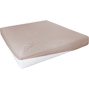 Primera Spannbettlaken Elasthan-Feinjersey, Jersey-Elasthan, Gummizug: rundum, (1 Stück), PREMIUM, aus 95% gekämmter Baumwolle und 5% Elasthan, bis 28 cm Höhe