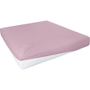 Primera Spannbettlaken Elasthan-Feinjersey, Jersey-Elasthan, Gummizug: rundum, (1 Stück), PREMIUM, aus 95% gekämmter Baumwolle und 5% Elasthan, bis 28 cm Höhe