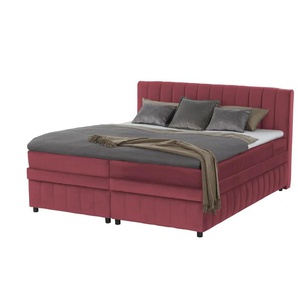 Primo Boxbett mit Bettkasten - rot - Materialmix - 146 cm - 106 cm | Möbel Kraft
