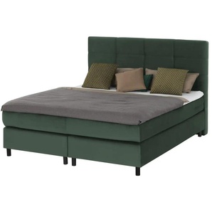 Primo Boxspringbett - grün - Materialmix - 160 cm - 152 cm | Möbel Kraft