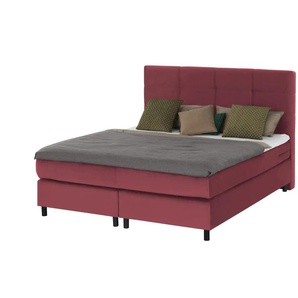 Primo Boxspringbett - rot - Materialmix - 180 cm - 152 cm | Möbel Kraft
