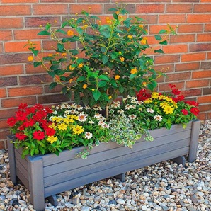 promadino Balkonkasten Romantica, BxTxH: 78x38x34 cm