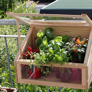 Promadino Mini-Balkon-Gewächshaus - naturfarben - Kiefer -
