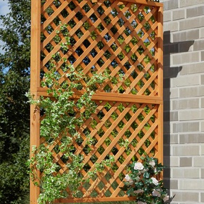 Spalier PROMADINO Rankhilfen Gr. B/H/T: 102 cm x 200 cm x 65 cm, braun (honigbraun) Blumentöpfe -kästen Pergola mit Pflanzkasten, BxTxH: 102x65x200 cm