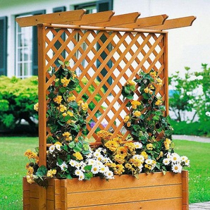 promadino Spalier, Pergola mit Pflanzkasten, BxTxH: 140x65x140 cm