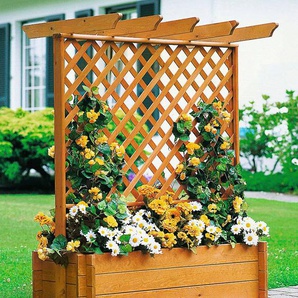Spalier PROMADINO Rankhilfen Gr. B/H/T: 140 cm x 140 cm x 65 cm, braun (honigbraun) Blumentöpfe -kästen Pergola mit Pflanzkasten, BxTxH: 140x65x140 cm