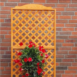 promadino Spalier Romantica, mit Pflanzkasten, BxTxH: 80x38x210 cm