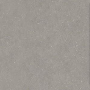 Purline wineo 1500 chip - PLR022C Silver Grey