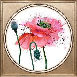 queence Acrylglasbild Mohnblüte