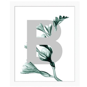 queence Bild B-Flower, Buchstaben, gerahmt, Blätter, Blume