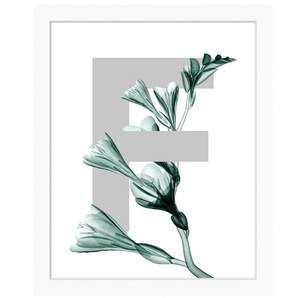queence Bild F-Flower, Buchstaben, gerahmt, Blume, Blätter