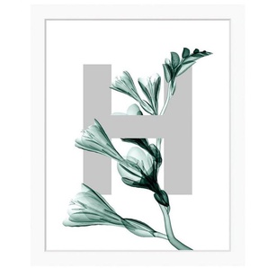 queence Bild H-Flower, Buchstaben, Blätter, gerahmt, Blume