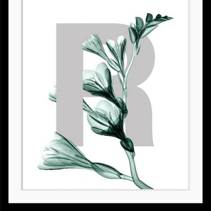 queence Bild R-Flower, Buchstaben, Blätter, gerahmt, Blume
