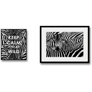 queence Bild Zebra, Abstrakt (2 St), gerahmt
