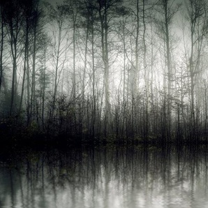 queence Leinwandbild Der Nebel, Baumbilder, Bäume (1 St), Akustikbild mit sehr guten Schallabsorptions-Eigenschaften