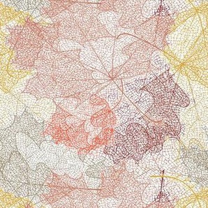 queence Vinyltapete Ahornblätter, glatt, natürlich, (1 St), Selbstklebende Tapete 90x250cm mit herbstlichem Motiv