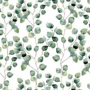 queence Vinyltapete Blätter - Eukalyptus, glatt, (1 St), Selbstklebende Tapete 90x250cm mit herbstlichem Motiv