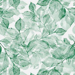 queence Vinyltapete Blätter grün, glatt, natürlich, (1 St), Selbstklebende Tapete 90x250cm mit herbstlichem Motiv