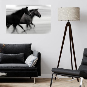 QUEENCE Wandsticker Horses Wandtattoos Gr. B/H/T: 150 cm x 100 cm x 0,1 cm, Pferd-Pferde, schwarz Wandtattoos Tiere