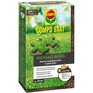 Rasensamen COMPO COMPO SAAT Sämereien grün Rasensaat Nachsaat-Rasen, 500 g, für 25 m²
