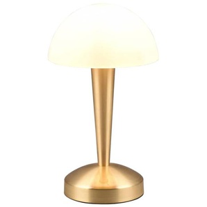 REALITY LED-Tischleuchte Canaria 539869 messing-matt, E14, 4,9 W, 470 lm, 3000 K R59561108