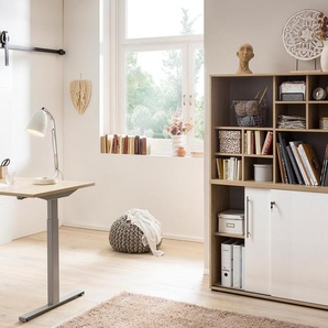 Regal »Antero« - schwarz - Holz -
