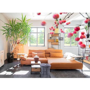 Regal Front & Korpus: Massivholz Akazie, gebeizt und lackiert Gestell: Metall, lackiert Braun 87 x 200 x 35cm