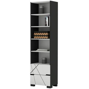 Regal - grau - Materialmix - 55 cm - 200 cm - cm 36,6 | Möbel Kraft