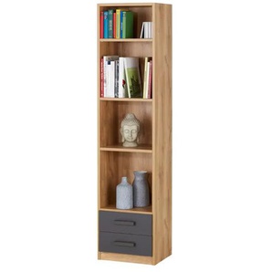 Regal Liverpool | holzfarben | 47 cm | 198 cm | cm 38,0 |
