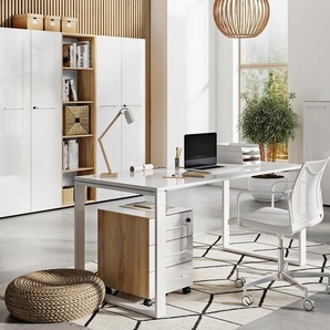 Regal »Monteria« - braun - Holz -