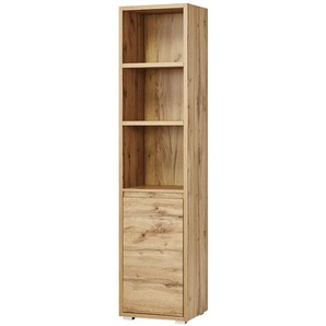 Regal  Tarent ¦ holzfarben ¦ Maße (cm): B: 45 H: 191 T: 37.0