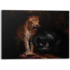 Reinders! Aluminiumbild, Schwarz, Gold, Metall, 140x100x0.3 cm, matt, Bilder, Metallbilder