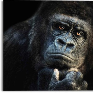 Glasbild REINDERS Glasbild Gorilla Affe - Kräftig Nachdenklich Bilder Gr. B/H: 70 cm x 50 cm, Affen, 1 St., schwarz Glasbilder