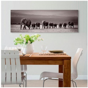 Reinders! Holzbild Deco Panel 52x156 Line of Elephants