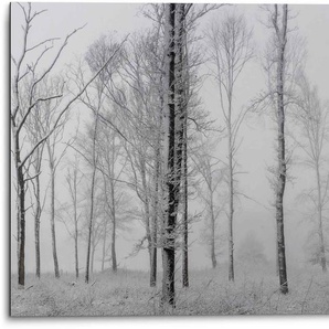 Wandbild REINDERS Aluminium Still Natur - Schwarz-Weiss Wald Bäume Bilder Gr. B/H: 70 cm x 50 cm, Stillleben, 1 St., schwarz (schwarz, weiß) Kunstdrucke
