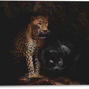 Reinders! Wandbild Aluminium Wandbild Raubtiere Panther - Cougar - Katzen - Höhle, Wildtiere (1 St)