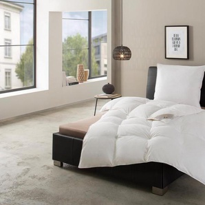 RIBECO Federbettdecke Laram, Bettdecken für Sommer oder Winter, Made in Germany, Füllung: 90% Federn, 10% Daunen, Bezug: Baumwolle, Super Preis-Leistung, Bettdecke 135x200 cm oder 155x220 cm, Decke