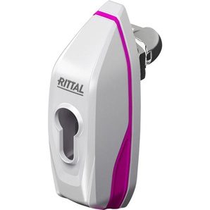 Rittal - ax 2537.100 Knebelgriff Lichtgrau 1 St.