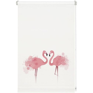 Rollo Flamingo Blickdicht