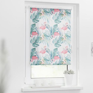Rollo Klemmfix, ohne Bohren, blickdicht, Flamingo