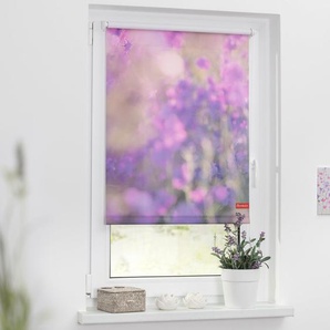 Rollo Klemmfix, ohne Bohren, Verdunkelung, Blumenwiese