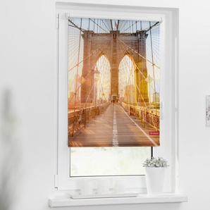 Rollo Klemmfix, ohne Bohren, Verdunkelung, Brooklyn Bridge