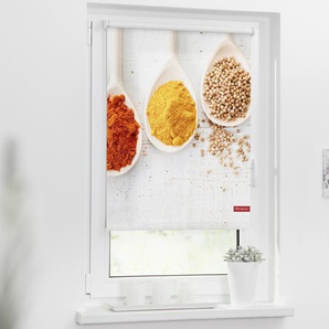 Rollo Klemmfix, ohne Bohren, Verdunkelung, Spices