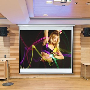 Rolloleinwand 240x240 cm Heimkino Beamer Projektor Leinwand Beamerleinwand
