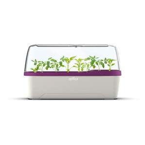 Romberg - boqube l plus Gewächshaus & Pflanzkasten-System 41x17x23cm mit Belüftung weiß/pflaume