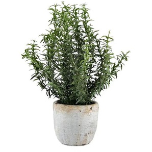 Rosmarin getopft - grün - Kunststoff,Metall,Zement - 33 cm - 25.0 | Möbel Kraft
