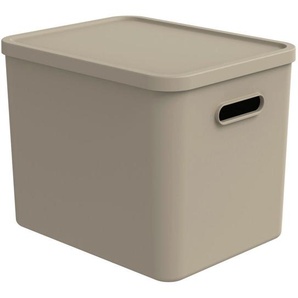 Rotho Aufbewahrungsbox Albula, Cappuccino, Kunststoff, 29x29.5x37 cm, Spielzeug, Spielzeugkisten