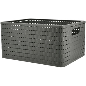Rotho Aufbewahrungsbox - grau - Kunststoff - 27,8 cm - 19,1 cm | Möbel Kraft