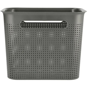 Rotho Aufbewahrungsbox | grau | Polypropylen | 26 cm | 21 cm | cm 18,0 |